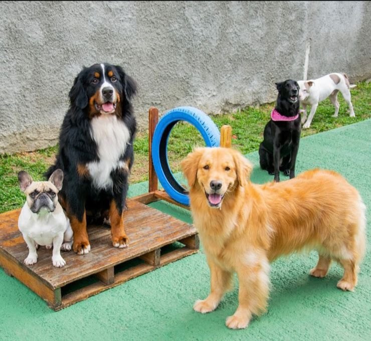 Day care